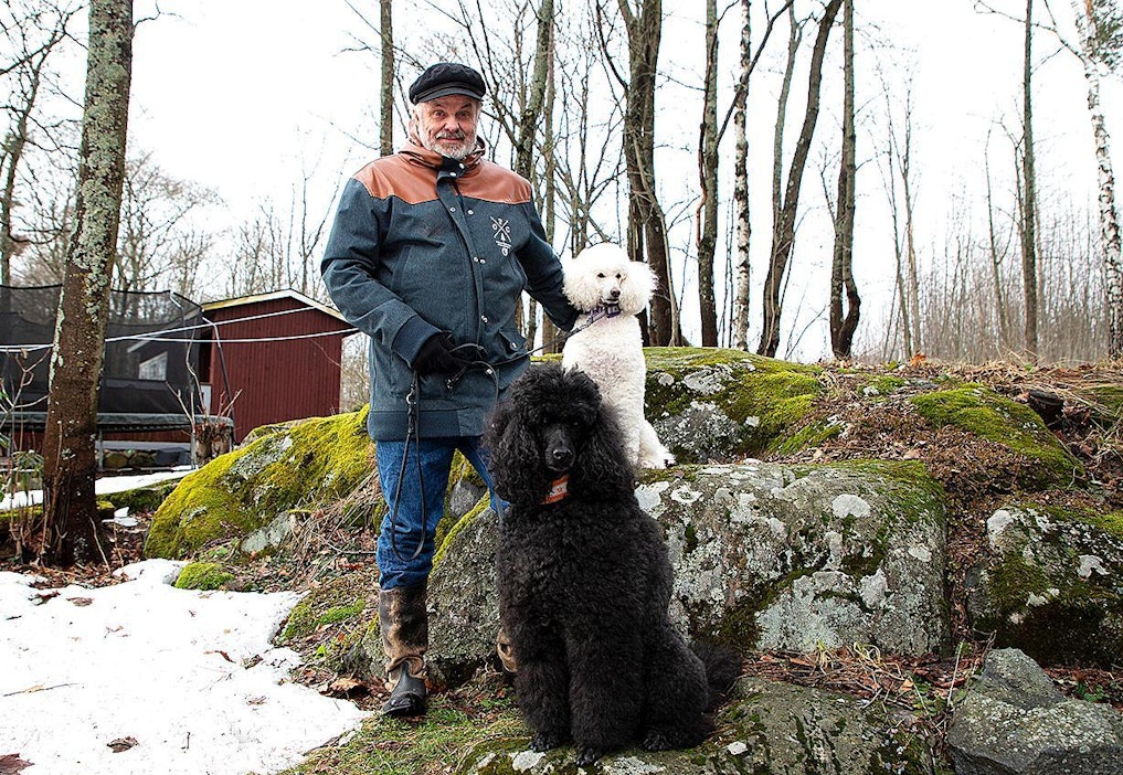 Näyttelijä Tapio Liinoja rentoutuu koiriensa kanssa - työn alla on  monenlaista näytelmää ja musikaali - MT Metsä - Maaseudun Tulevaisuus
