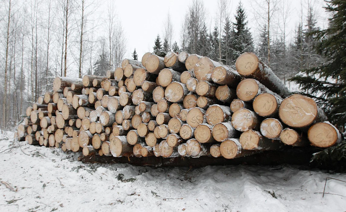Helsingin käräjäoikeus hylkäsi kaikki Suuri Savotta -ryhmän 486 kannetta, joissa vaadittiin yhteensä noin 12 miljoonan euron korvauksia Metsäliitolta, Stora Ensolta ja UPM:ltä yhtiöiden muodostaman kartellin aiheuttamista puukauppatulojen menetyksistä. Nyt metsänomistajat pohtivat, kannattaako tuomiosta valittaa hovioikeuteen.