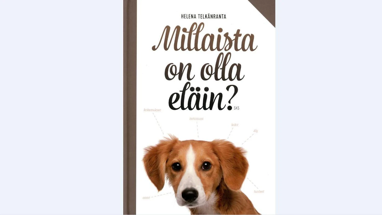 Helena Telkänrannan Millaista on olla eläin? -teoksen on kustantanut Suomalaisen kirjallisuuden seura.
