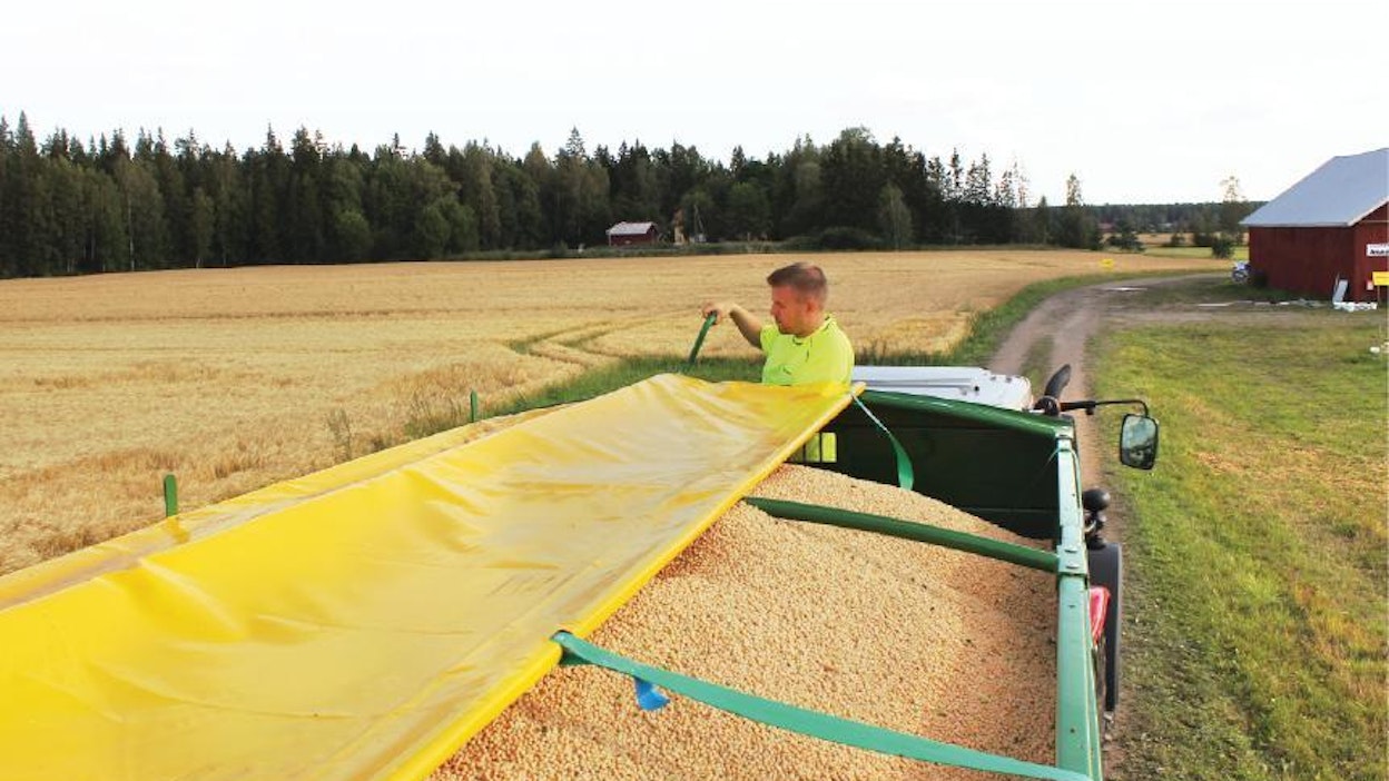 Korkealaitaisessa viljavaunussa perinteistä irtopeitettä huomattavasti turvallisempi ratkaisu on rullapeite. Kuvassa olevan Western-viljavaunun (KV 5/15) rullapeitettä käytetään turvallisesti vaunun etulaidassa olevalla työtasolla seisten. Tanko, jonka ympärille peite kiertyy toimii samalla kannattimena, joka pitää peitteen tiukalla.