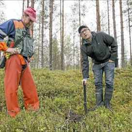 Metsähallituksen suunnittelija Kari Puoliväli (vas.) ja arkeologi Ville Laurila tutkivat vanhan tervahaudan pohjaa Kyyjärvellä. Sami Karppinen