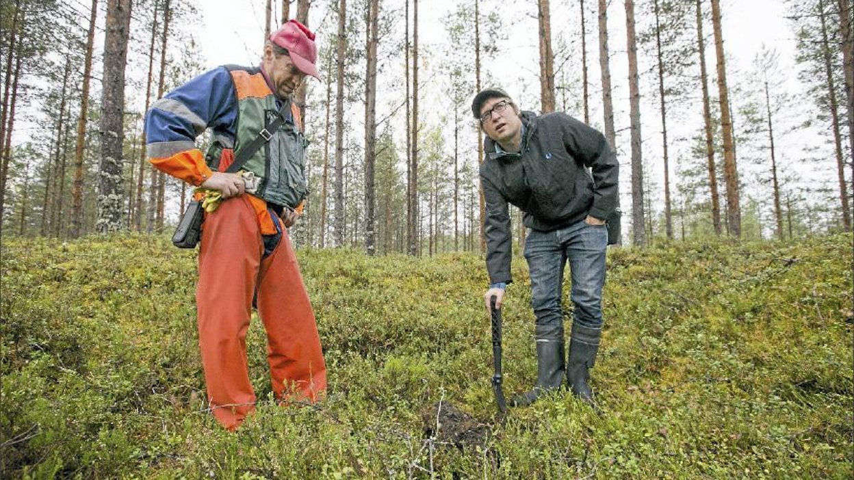 Metsähallituksen suunnittelija Kari Puoliväli (vas.) ja arkeologi Ville Laurila tutkivat vanhan tervahaudan pohjaa Kyyjärvellä. Sami Karppinen