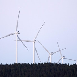Metsähallituksen mailla on nykyisin 91 tuulivoimalaa, joiden yhteenlaskettu teho on 250 megawattia, Uutissuomalainen kertoo.  LEHTIKUVA / RONI REKOMAA