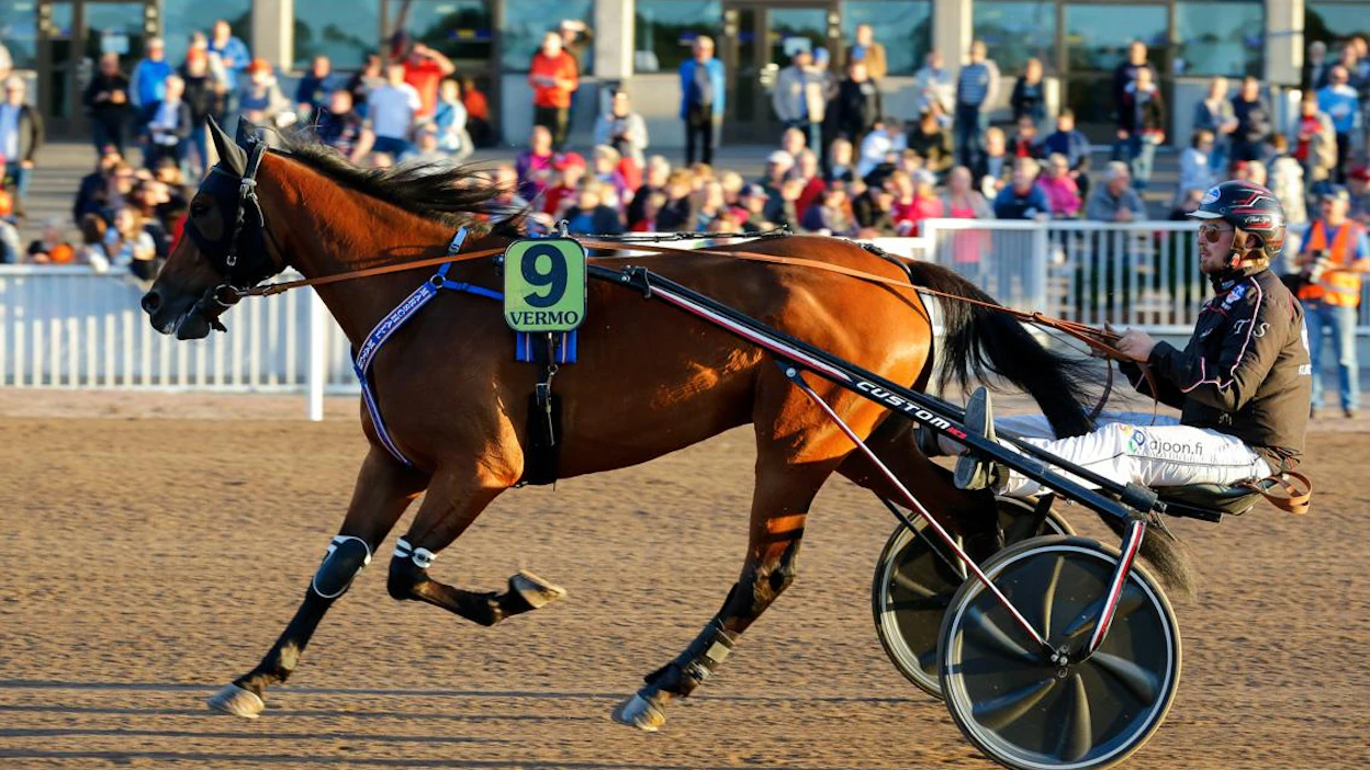 Kasvattajakruunun sankari Marschall Match tekee tänään avauksensa uudelta valmentajaltaan, ikoniselta Pekka Korvelta. Vastus on heti tiukkaa tasoa komeaa voittosarjaa nikkaroivan Skyfall Shinen johdolla.