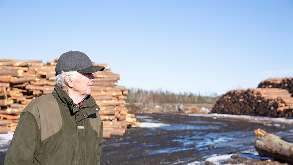 Sahatavarabuumi siivitti viime vuonna myös Luvian Sahan tuotantoa. Matti Huhtamaa käy edelleen mielellään sahalla katsomassa. ”Kävelen täällä kädet housuntaskuissa ja kyselen kuulumisia.”