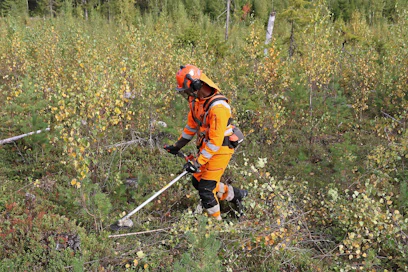 Husqvarnan raivausasumallistoon tullut nyt High Viz -raivaus- ja trimmeröintikäytön asukokoinaisuus. Näkyvyysluokka 3 määräykset täyttävä asu paljastui Koneviestin kokeilussa tukevaksi ja toimivaksi kokonaisuudeksi.