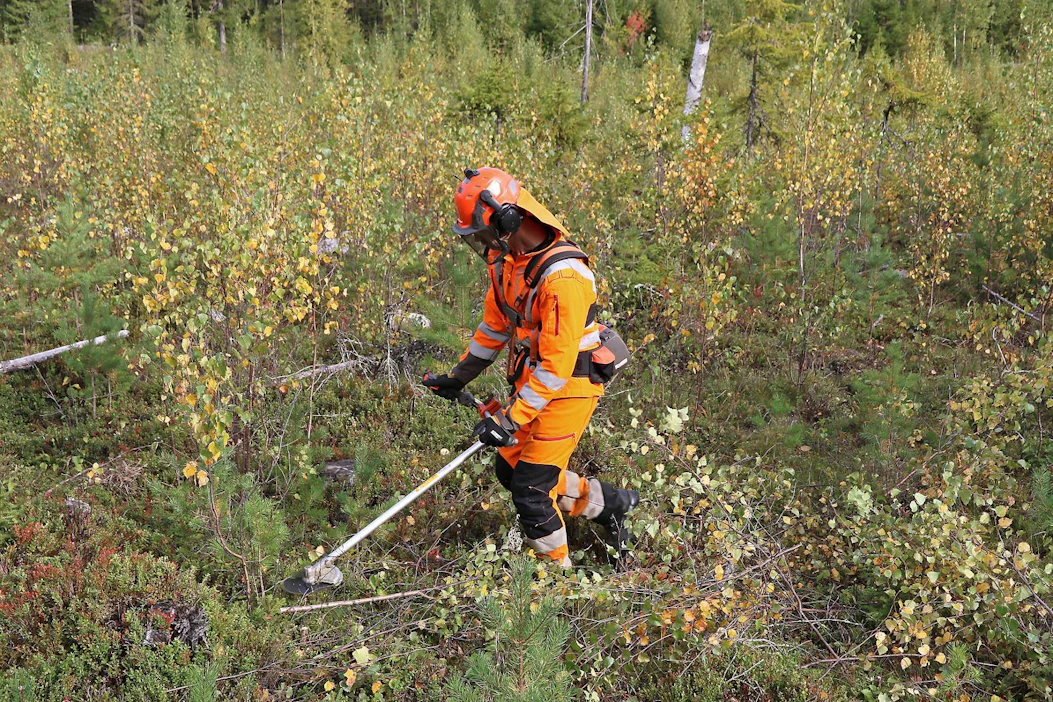 Husqvarnan raivausasumallistoon tullut nyt High Viz -raivaus- ja trimmeröintikäytön asukokoinaisuus. Näkyvyysluokka 3 määräykset täyttävä asu paljastui Koneviestin kokeilussa tukevaksi ja toimivaksi kokonaisuudeksi.