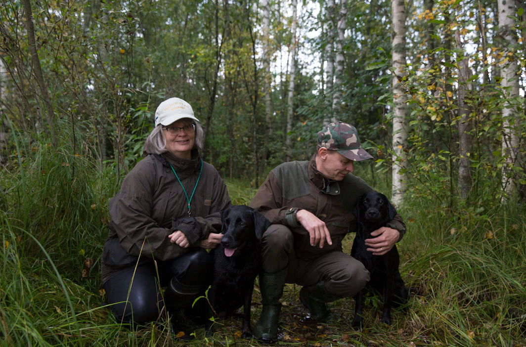 Toisille harrastus, toisille intohimo, opittua ja luontaista. Sari Pitkänen, Riesu, Juho Pitkänen ja Neppi nauttivat joka hetkestä sorsajärvellä.