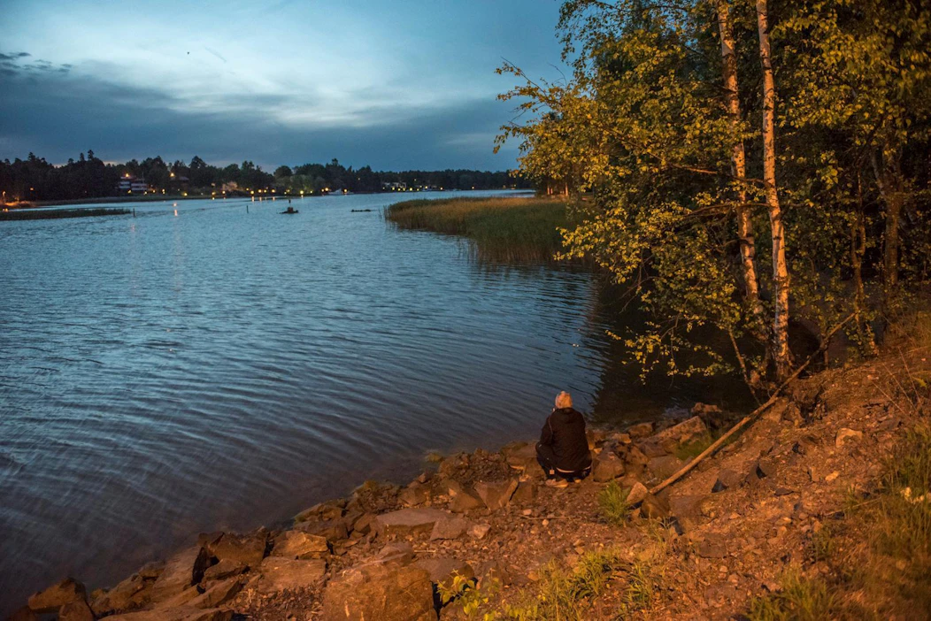 Suomessa on havaittu kolmetoista eri lepakkolajia, jotka poikkeavat elintavoiltaan toisistaan. Lepakoita voi bongata esimerkiksi järven rannalla.
