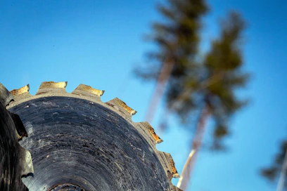 Metsäpalveluyritysten kirjo on kasvanut. Osa yrityksistä hakee yhteistyötä myös yhteisen sateenvarjon alla.