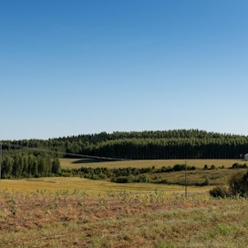 Kiteellä sijaitsema Totkunniemi on maisemallisesti arvokas alue. Kyläläiset ovat aktiivisesti mukana kehittämässä kylän maisema-arvoja. Kuva elokuulta 2015.