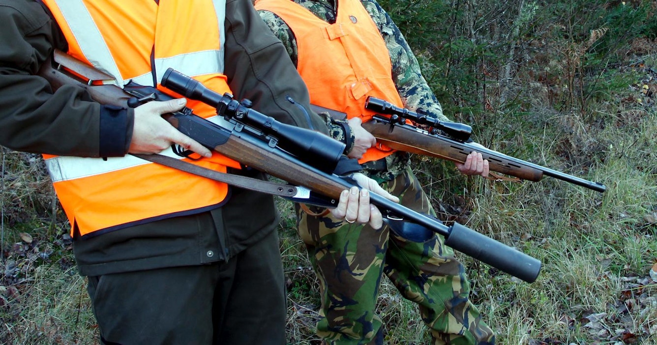 Merihanhien ja metsähanhien metsästyskieltoa esitetään jatkettavaksi.