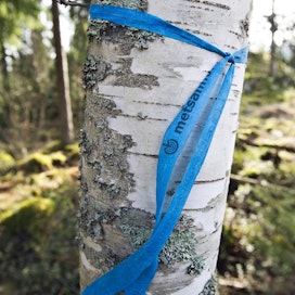 Metsävisaan on osallistunut vuodesta 1982 jo miljoona suomalaista.