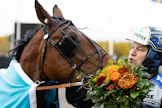 MAS Champ on voittanut Antti Ojanperän opastuksella Suur-Hollola-ajon, St. Legerin ja Kavioliiga Grand Prix’n. Ruunan voittosumma on yli 278 000 euroa.