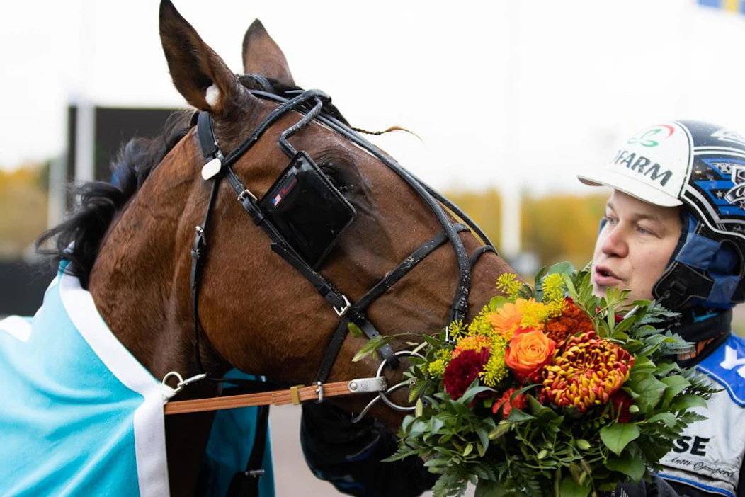 MAS Champ on voittanut Antti Ojanperän opastuksella Suur-Hollola-ajon, St. Legerin ja Kavioliiga Grand Prix’n. Ruunan voittosumma on yli 278 000 euroa.