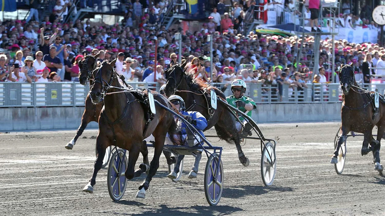 Tuleva Elitloppet-hevonen? Giveitgasandgo hurjasteli Nelivuotiseliitissä ajan 09,5. Hirmuista kyytiä alussa keulaan tykittänyt Lexus Dream päästi voittajan eteensä ja oli sen kannoilta urhea kolmas 10,0-ajalla.