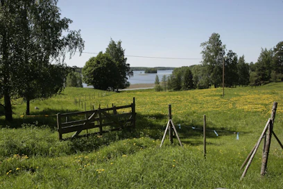 Valtakunnallista kesäluonnonpäivää vietetään tänään.