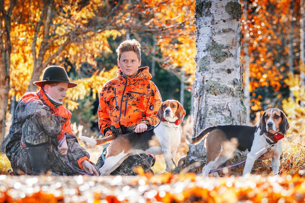 Ville-Veikko Launokorpi ja Verneri Kaivola (oik.) kiittelivät Seppo Kuokkasen beagleja jänisajosta. Pojat ehtivät olla hetken passissa, kunnes ajo siirtyi lähelle kantatietä ja koirat otettiin kiinni.