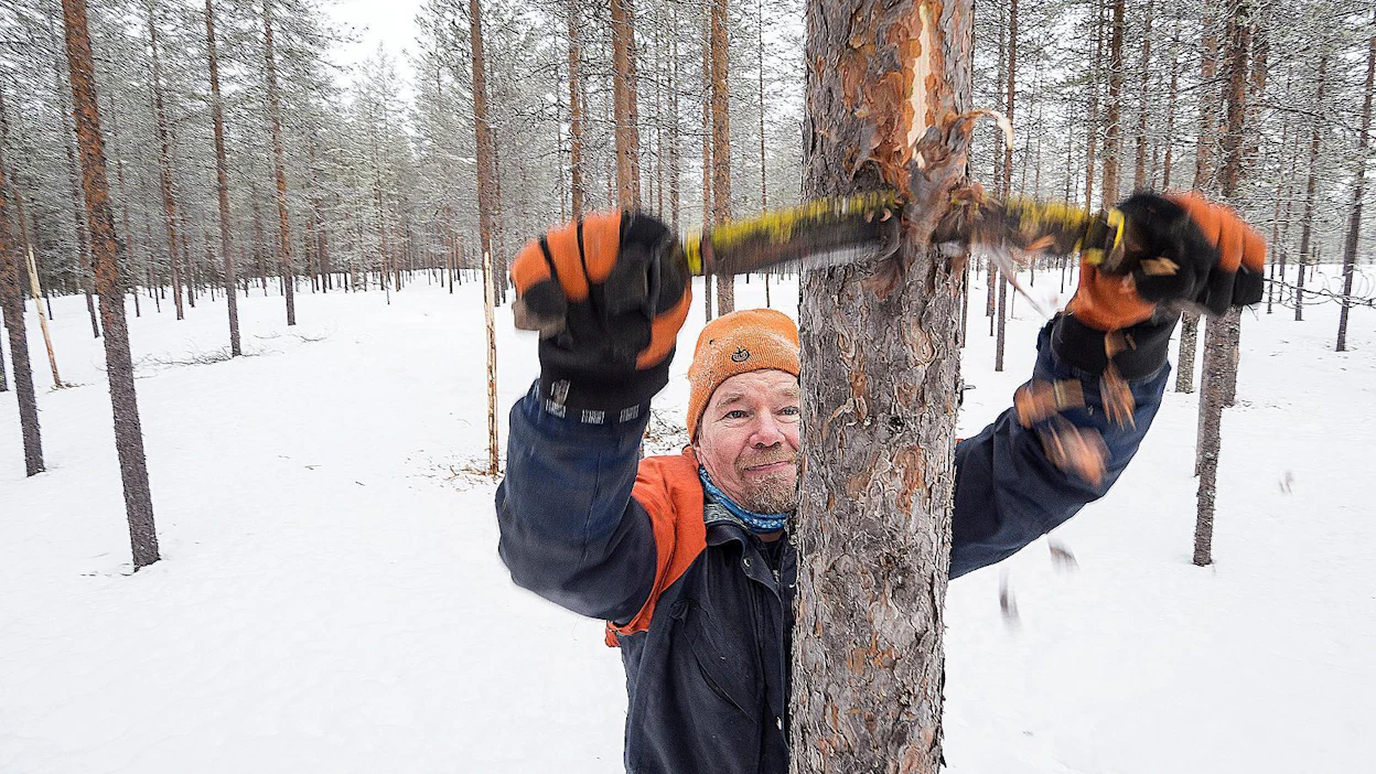 Poroaitatolppien teko vaatii paljon työtä.