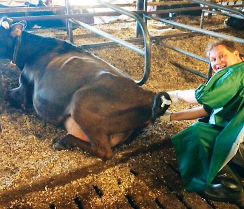 Jethro Rostedt jakoi kuvan keinosiementämisestä Instagram-tilillään.