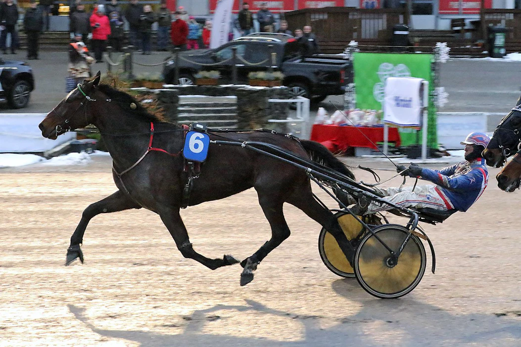 Kuvassa Cold Hard Lady voitti lähtönsä 9. joulukuuta Teivossa. Tämän illan lähdöstä se jäi pois, koska joutui taustajoukkoineen kolariin.