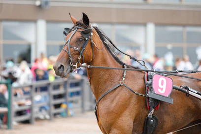 BWT Divine on juossut ennätykset 11,9aly ja 14,3ke. Voittosumma on lähes 130 000 euroa.