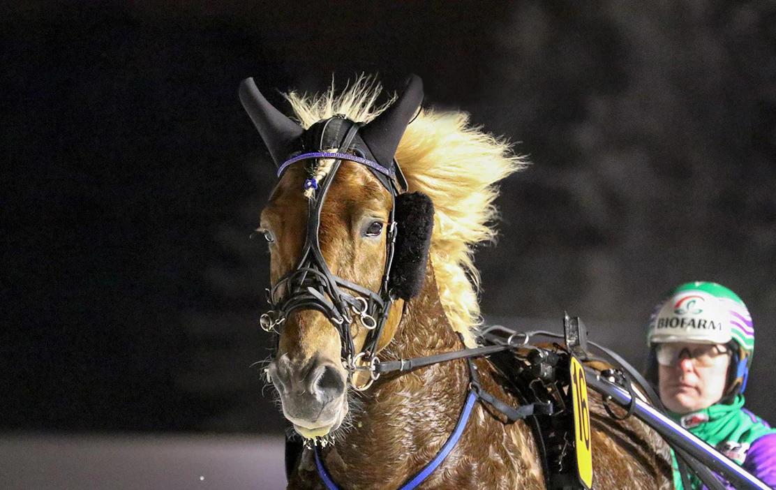 Risto Tupamäen ajama Costello kerää jälleen vieskermäiset peliprosentit T76-jackpot-kierroksella.