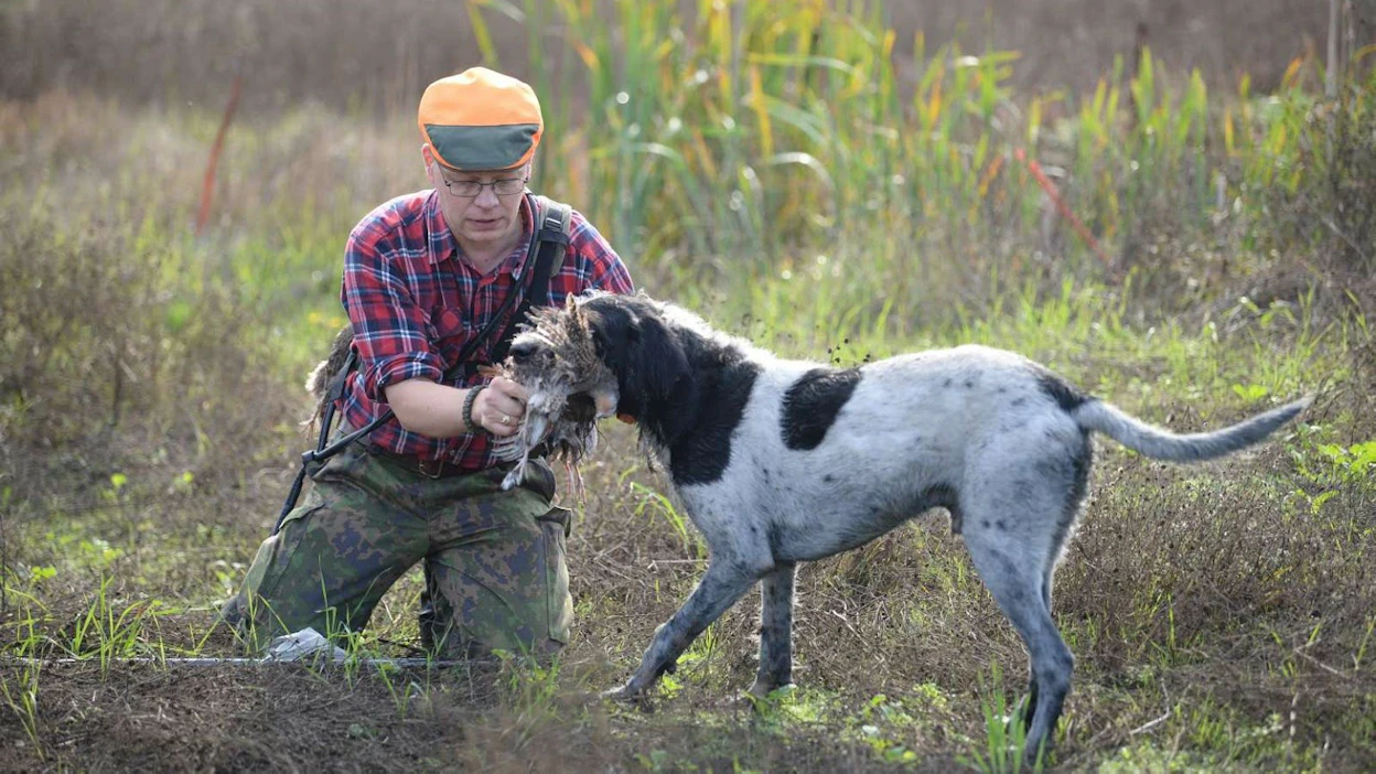 Petteri Lampisen arjessa metsästyskoirat ovat olleet mukana yli 30 vuotta.