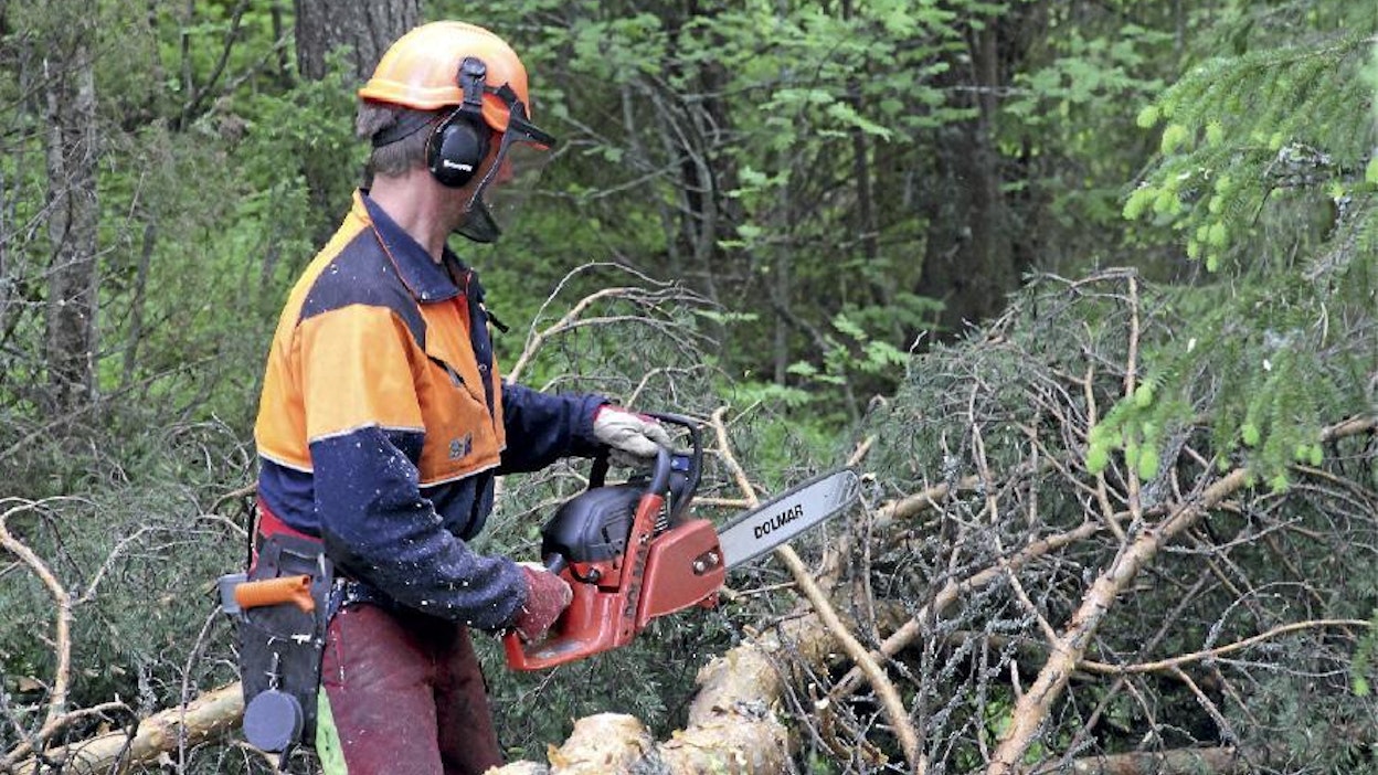 Muotoilultaan 6100 on enemmän katkontasaha, sillä etukahva on varsin korkealla suhteessa takakahvaan. Mutta järeiden runkojen karsinnassa sahan voimat ovat jopa tärkeämpi asia.