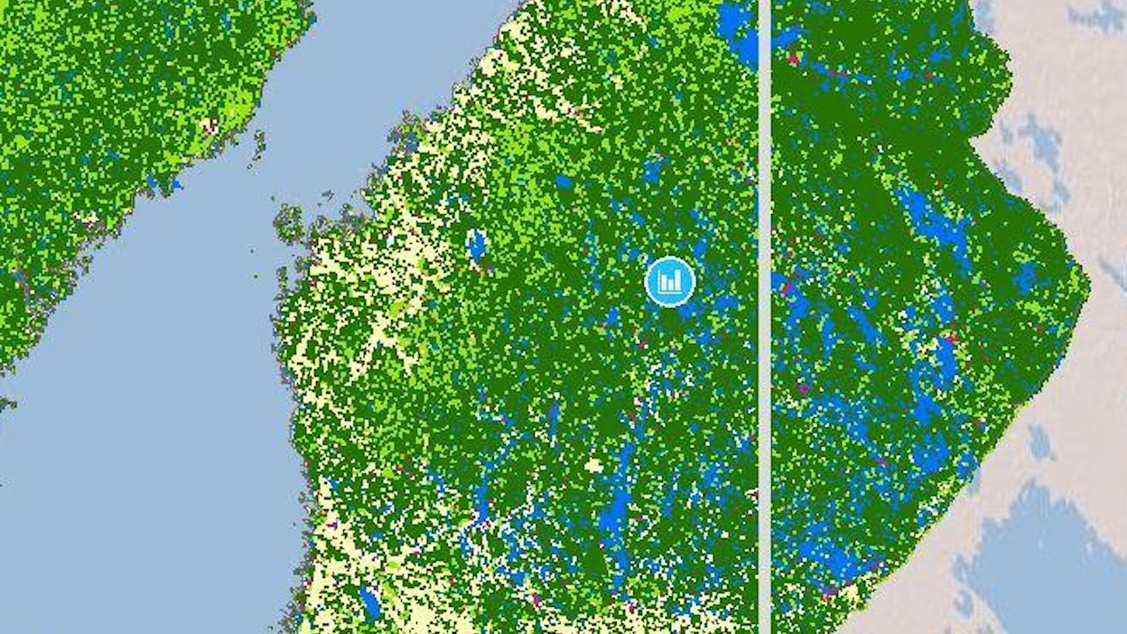 Viivaa raahaamalla vuoden 1900 tilannetta voi verrata vuoteen 2010. Kuvassa Suomen itäosassa näkyvät vuoden 2010 metsät, länsiosassa vuoden 1900.