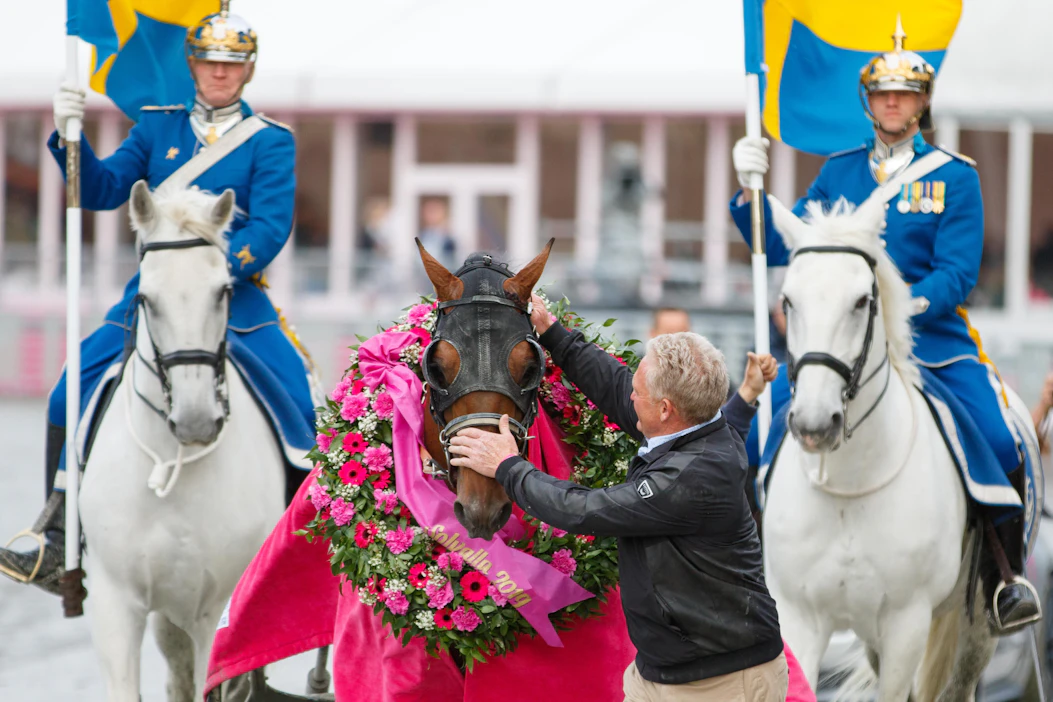 Dijonin voitto vuoden 2019 Elitloppetissa kirvoitti parranpärinää kun hevosen askellajin laatua loppumetreillä arvioitiin. Helppoa ei ole aina kutsujenkaan suhteen.
