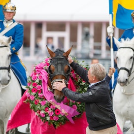 Dijonin voitto vuoden 2019 Elitloppetissa kirvoitti parranpärinää kun hevosen askellajin laatua loppumetreillä arvioitiin. Helppoa ei ole aina kutsujenkaan suhteen.