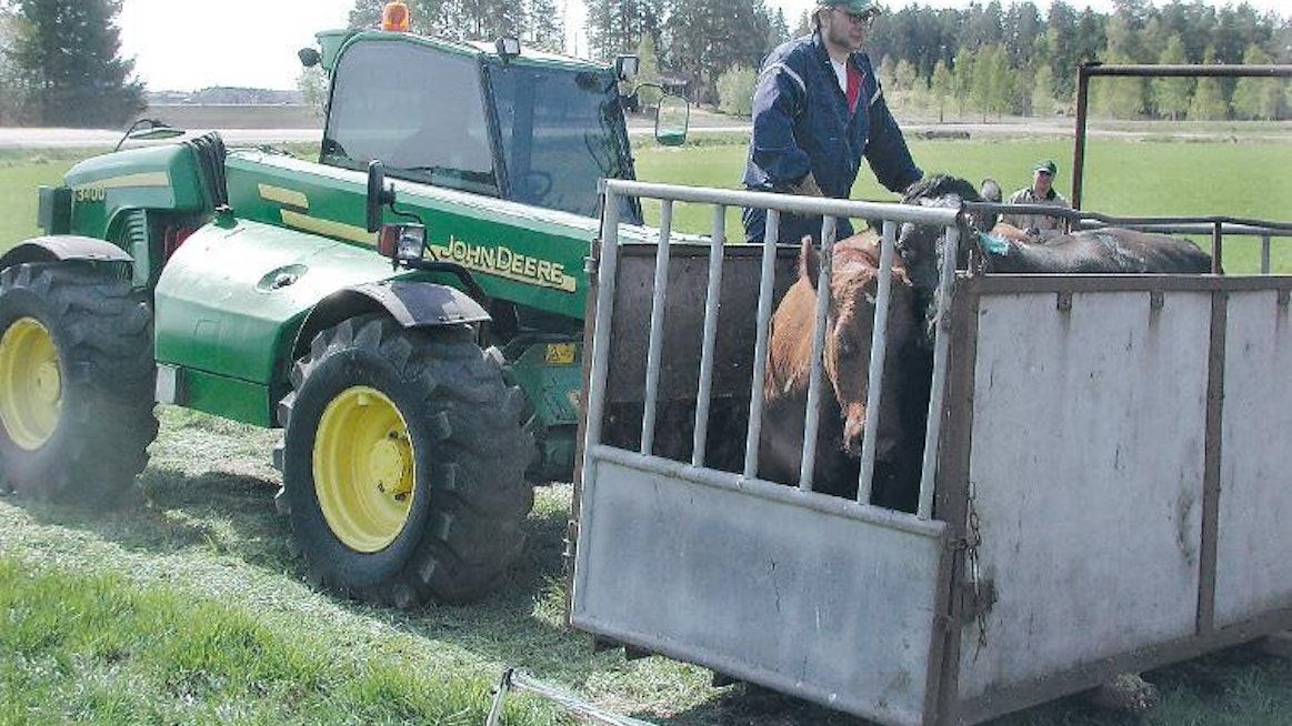 Omavalmisteisella karjankuljetushäkillä voidaan kuljettaa kaksi täysikasvuista lehmää. Traktori ei jaksa viedä kuin yhden, joten tässäkin työssä kurottajalta kuluu puolet vähemmän aikaa.