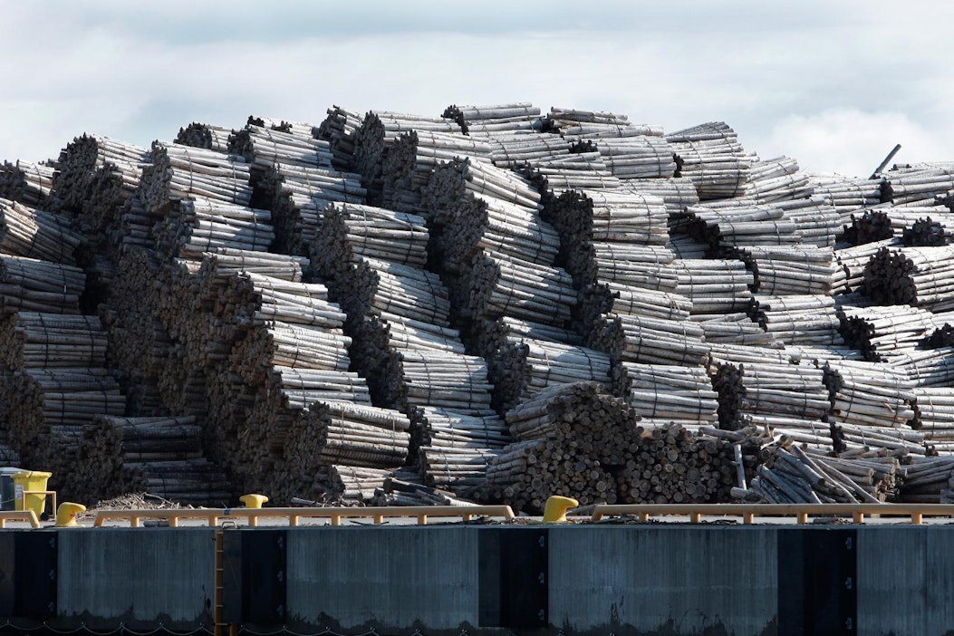 Eukalyptusta varastoituna Kaskisten satamassa. Arkistokuva.