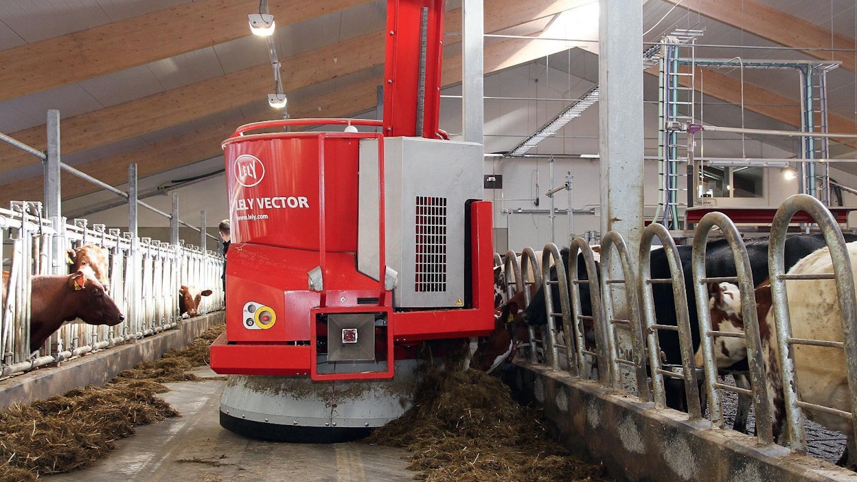 Lely Vector puskee vanhan rehun lehmien eteen ja jakaa tarvittaessa uutta. Vectorin kulkiessa reitillään lehmät tulevat innokkaasti katsomaan, onko uutta rehua tarjolla.