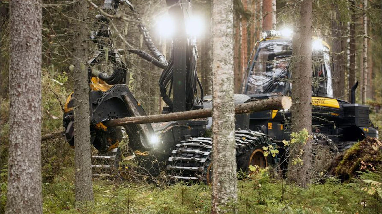 Hakkuukoneenkuljettaja Mikko Ihalainen näyttää, kuinka harvennusleimikossa kuusen oksat karsitaan ajouralle kantavaksi matoksi. Pentti Vänskä