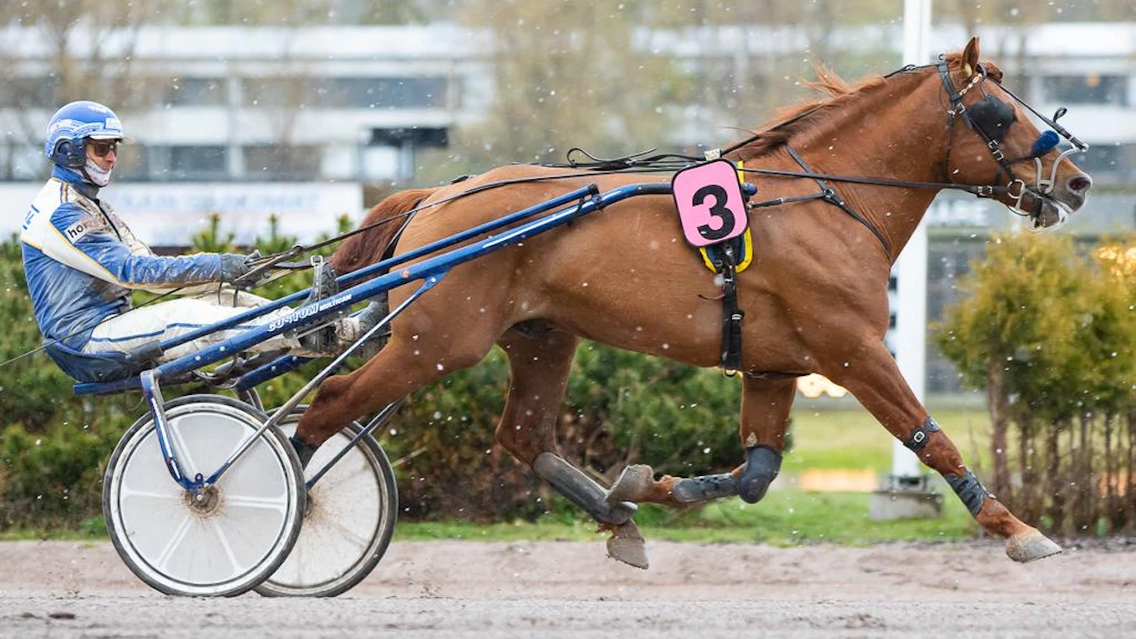 Tuurin Toivo on viime aikoina siirtynyt ensin kasvattajaltaan Seppo Suuroselta Lahteen Iikka Nurmoselle ja siitä nyt Kimmo Taipaleelle.