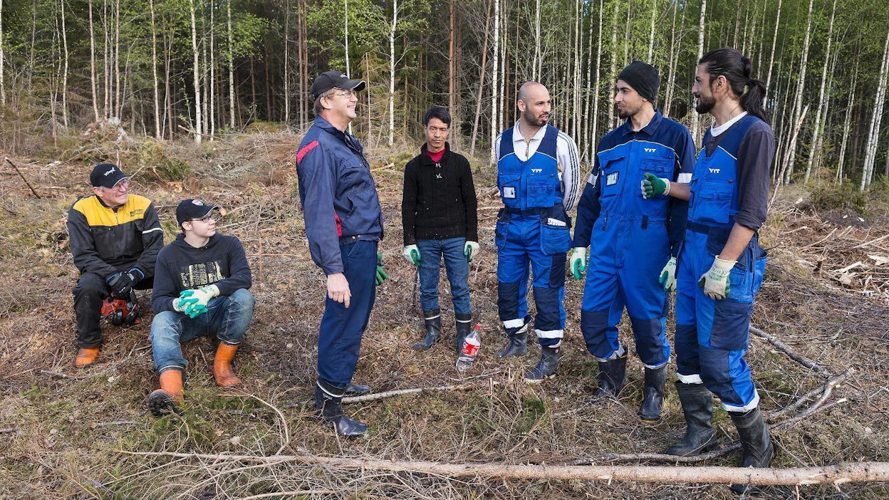 Kauko Korpi (keskellä) on ollut tyytyväinen turvapaikanhakijoiden työhön maatilallaan.