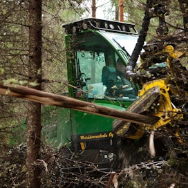 Metsäkonepalvelu Oy voitti UPM:n kilpailutuksen Kymenlaakson puunkorjuu-urakoista.