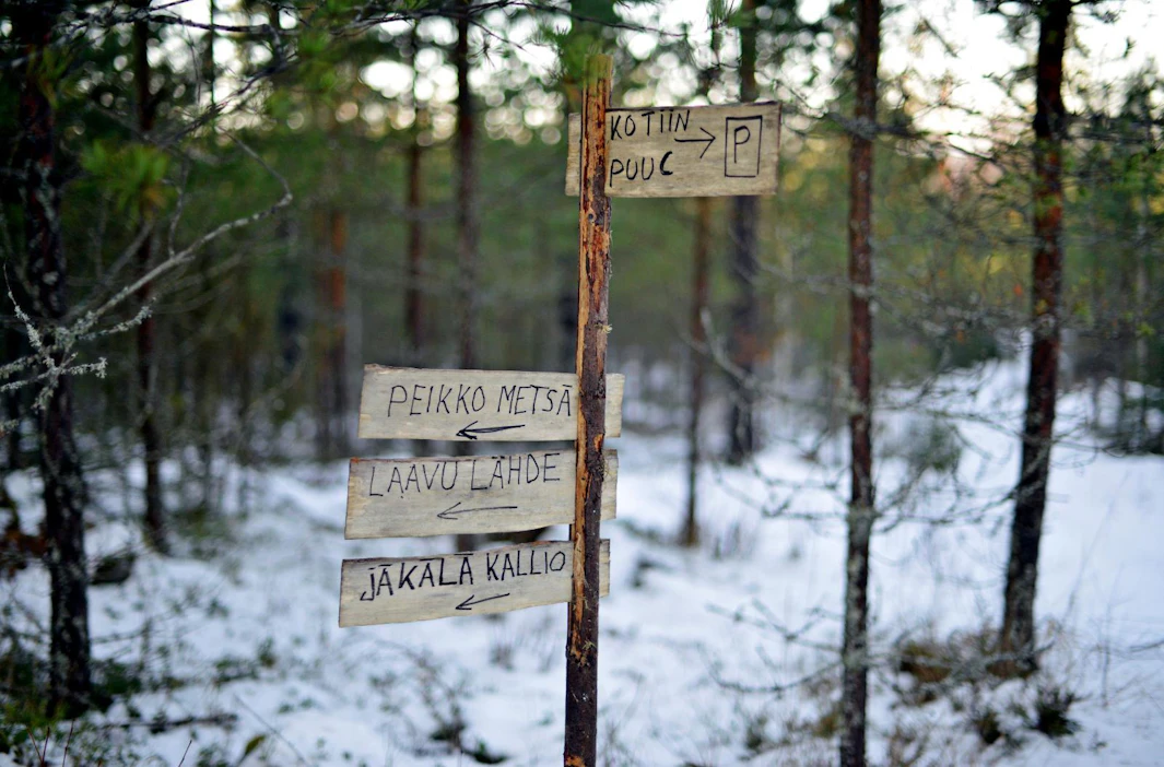 Teemapolut vievät erilaisiin metsämaisemiin. Polun viitat on tehty päreistä.