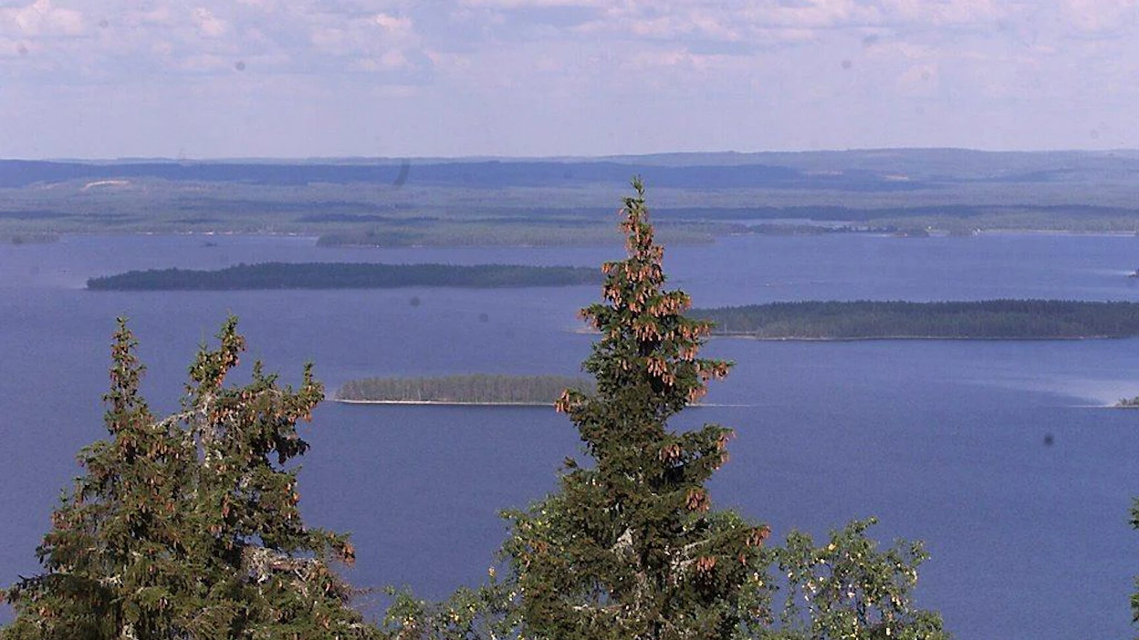 Keittiöpäällikkö Eero Puustinen Hotelli kolin keittiössä laittaa ruokaa läheltä hankimistaan raaka-aineista; perunat toimittaa 25km päässä oleva Puhakan tila; Heikki Puhakka, Maija Puhakka, Eila Heikura (valkoinen hattu); Velho viinit, Minna Kirjavainen, maisemaa kolilta