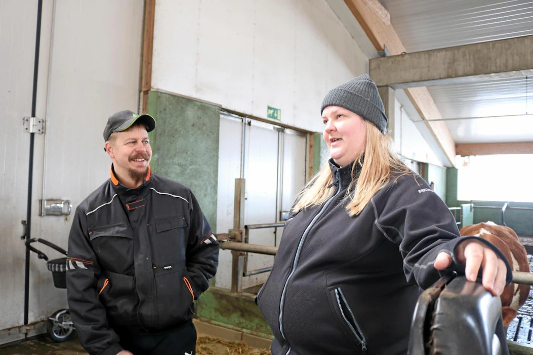 Ensimmäinen maissisato korjattiin viisi vuotta sitten. Traktorimarssin peruja tullut idea on kantanut. Vain kerran sato on epäonnistunut, maidontuottajat Tarmo ja Anne Ilola Reisjärveltä toteavat.