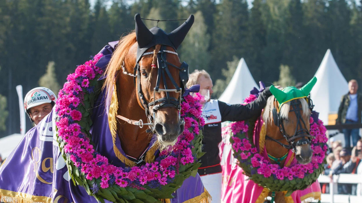 Viime vuonna Lahden Jokimaalla oli kuninkuusravisunnuntaina yleisöä järjestäjien ilmoituksen mukaan 28 560.