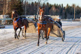 Janita Luttusen valmennettavia ajetaan pääasiassa Tornion  raviradalla. Luttusella (oik.) aisoissa Lionize. Jani Lamminparras ajaa 2-vuotiasta Yaz Hanoveria (i. Trixton).