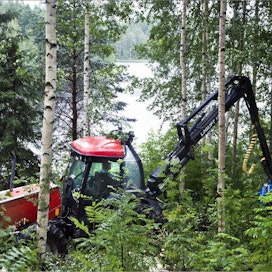Metsäkoneenkuljettaja Antti Laitinen tekee ensiharvennusta 10 hehtaarin kokoiselle rantakoivikolle. Harvennuskohteilta pyritään ottamaan energiapuun lisäksi mahdollisuuksien mukaan myös kuitupuuta. Kari Salonen