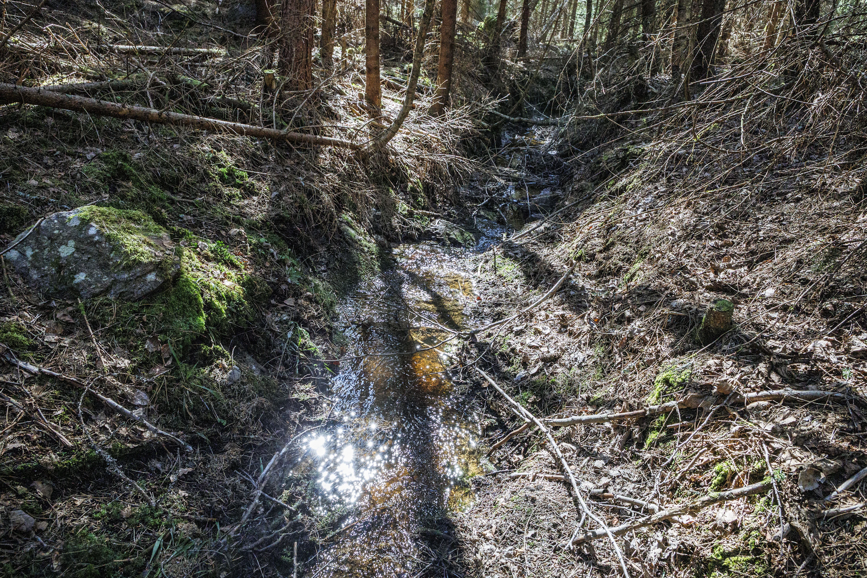 Puustoa ja kasvillisuutta on jätetty ojien reunoille sitomaan maa-ainesta ja ravinteita.
