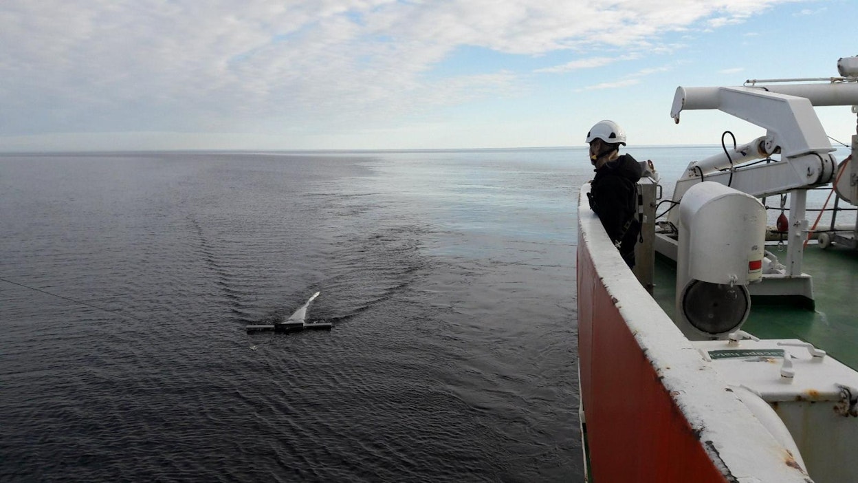 Mikroroskaa kerättiin Itämerellä kesäkuussa 2017.