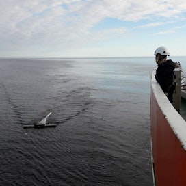 Mikroroskaa kerättiin Itämerellä kesäkuussa 2017.