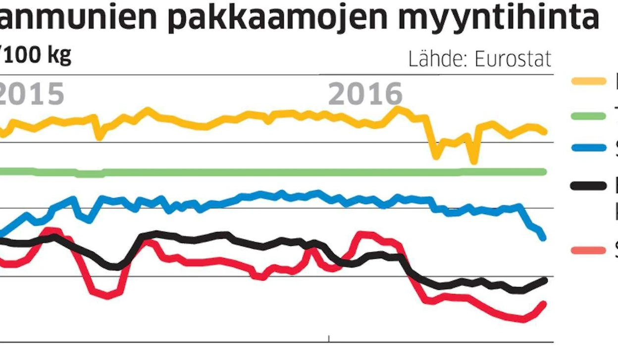 60 prosenttia Suomen munista tuotetaan virikehäkeissä, mutta pakkaamot ovat kannustaneet viljelijöitä siirtymään kerroslattiakanaloihin. Kuvassa kanat tepastelevat kerroslattiakanalassa.