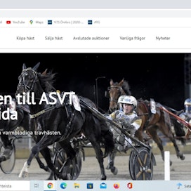 Ruotsin kasvattajajärjestö ASVT on myös suosittu huutokauppajärjestäjä. Nyt sen sivut ovat uudistuneet, ja kannessa on vuoden ravivalmentaja Per Nordström Önas Princensä rattailla.